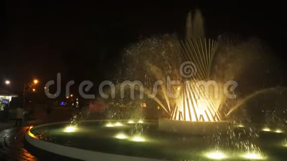 在利马生命之泉的夜晚拍摄视频的预览图