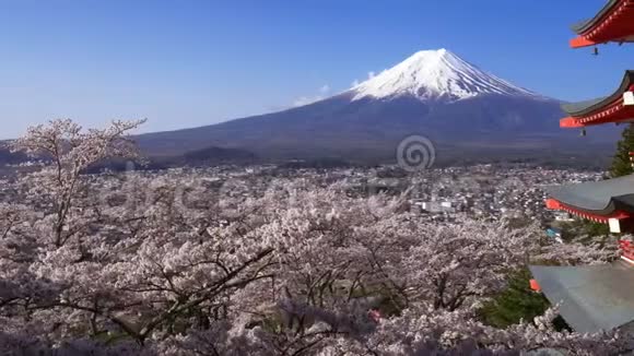 惊涛拍山日本富士田春有朱雷托塔的富士视频的预览图