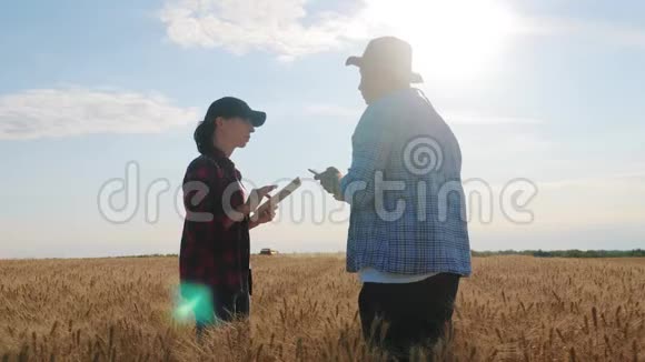 农民们在收割的时候与小麦作物握手团队农民站在一片麦田里放着药片伙伴关系视频的预览图