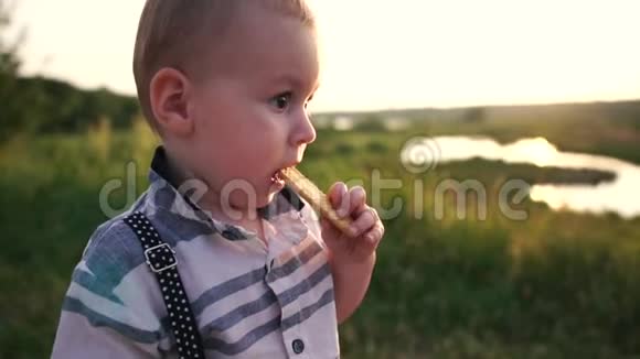 小男孩在阳光明媚的夏日傍晚慢动作吃着大自然的饼干视频的预览图