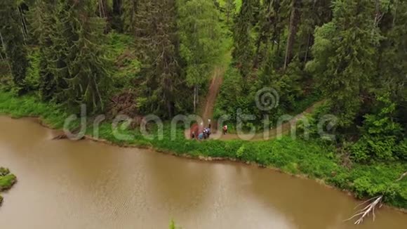带导游在森林的河边散步的空中观光团视频的预览图
