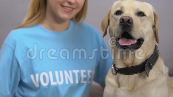 可爱的拉布拉多和女性志愿者特写狗收容所慈善动物护理视频的预览图