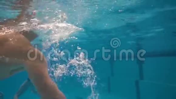 运动的人在水下游泳年轻的游泳运动员在游泳池里潜水视频的预览图