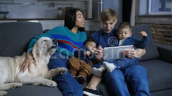 家庭宠物狗在线浏览平板电脑视频的预览图