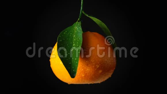 橘黄色带露滴视频的预览图