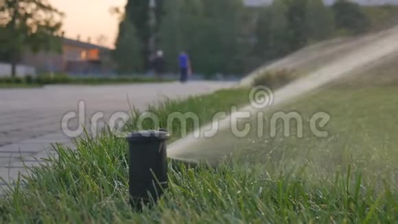 夏季园区草花自动浇水喷雾器旋转和许多小水滴视频的预览图