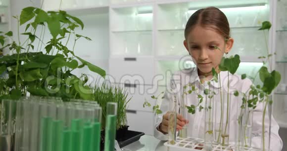 化学实验室的儿童在校女生学习植物课堂上的儿童教育项目视频的预览图