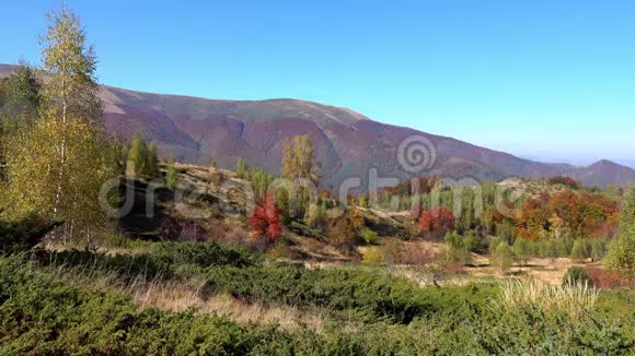 秋天的山景观视频的预览图
