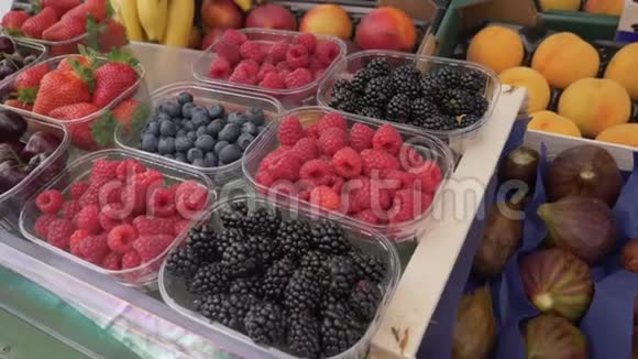 在市场上准备出售的塑料盒子中混合浆果蓝莓无花果黑莓草莓葡萄视频的预览图
