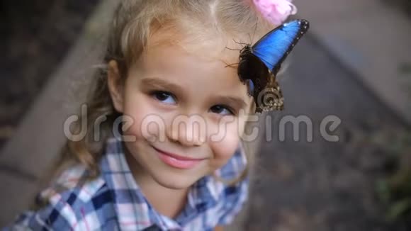 一个快乐的棕色眼睛女孩的脸她头上有只蝴蝶4K慢慢视频的预览图