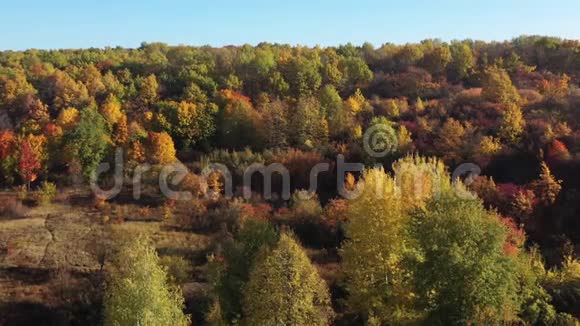 史诗般的空中飞行飞越秋天的森林秋天自然的美学树叶上的阳光在大自然的上空飞翔视频的预览图