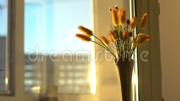 从窗外眺望城市阳光照耀的花瓶房概念4k视频的预览图
