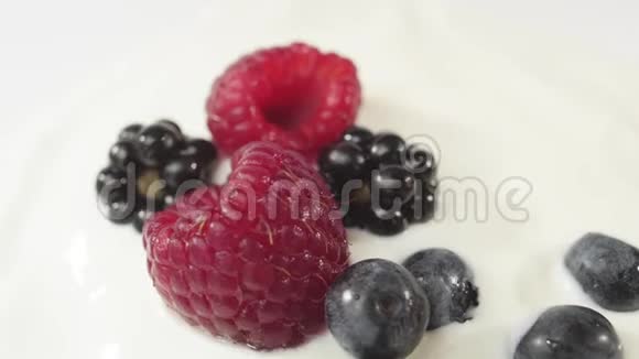 新鲜健康食品蓝莓落入酸奶与覆盆子和黑莓鲜果溅在鲜奶油里视频的预览图