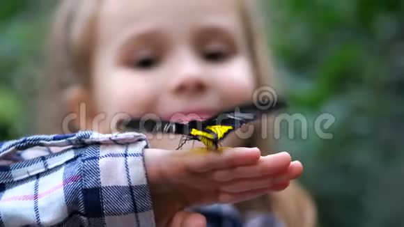 特写镜头一只蝴蝶在一个小女孩的手上展翅飞翔4K慢慢视频的预览图