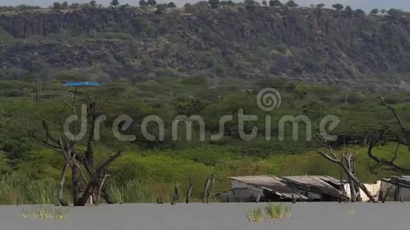 巴里戈湖景观展现了肯尼亚境内不断上涨的湖水树木枯死房屋沉陷视频的预览图