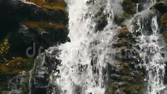 喀尔巴阡山上长满绿色苔藓的美丽天然瀑布近景可见视频的预览图
