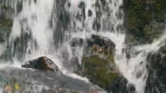 喀尔巴阡山上长满绿色苔藓的美丽天然瀑布近景可见视频的预览图