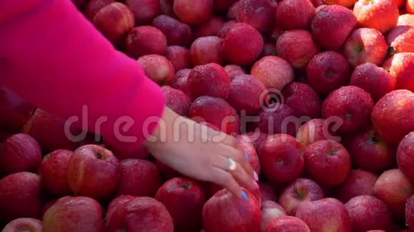 妇女在农贸市场购买新鲜苹果视频的预览图