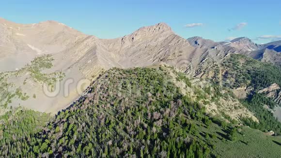 山谷和岩石峰夏天有绿色森林视频的预览图