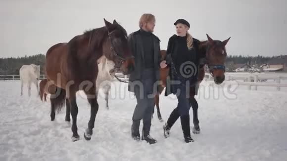 冬天一对夫妇带着马在乡间农场散步男人和女人牵马马和小马视频的预览图