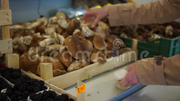 特写女性双手将新鲜的豪猪蘑菇叠在市场的布袋里素食主义概念视频的预览图