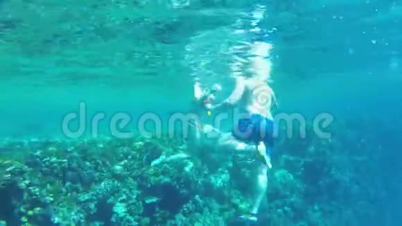 人们在红海珊瑚礁和异国鱼类附近游泳的水下景色埃及视频的预览图