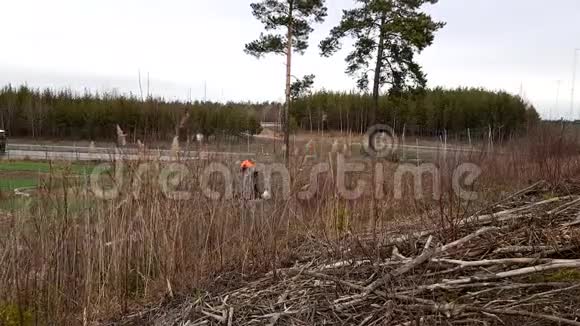 男工正在用刷子刀切割灌木丛的枝条夏季前景观春季保洁视频的预览图