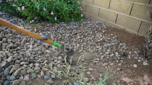 用四罐耕耘机清理地面种植花园视频的预览图