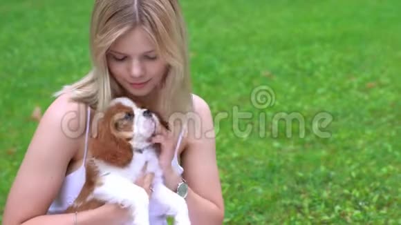 年轻漂亮的女人拥抱着公鸡斯帕尼尔狗公园视频的预览图