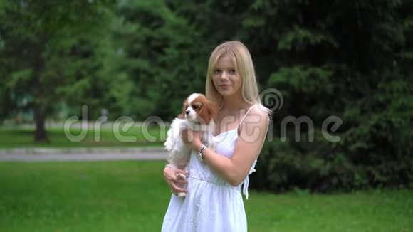 年轻漂亮的女人拥抱着公鸡斯帕尼尔狗公园视频的预览图