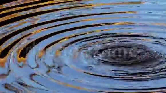 水滴和波浪在湖水上视频的预览图