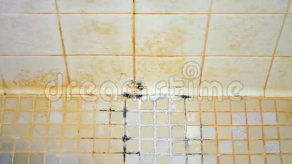 一个女人的手开始清洁一个恶心的淋浴地板上面覆盖着肥皂渣霉菌和霉菌视频的预览图