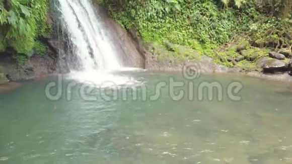 梦幻瀑布和神奇的自然丛林森林里的野河加勒比瓜德罗普生态系统级联视频的预览图