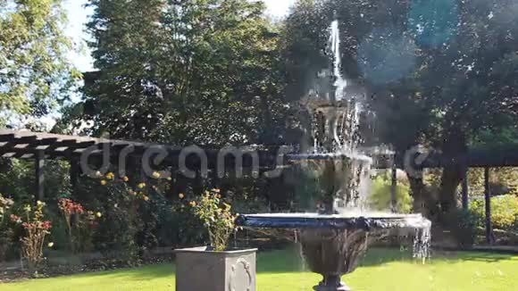 华丽的分层花园喷泉视频的预览图
