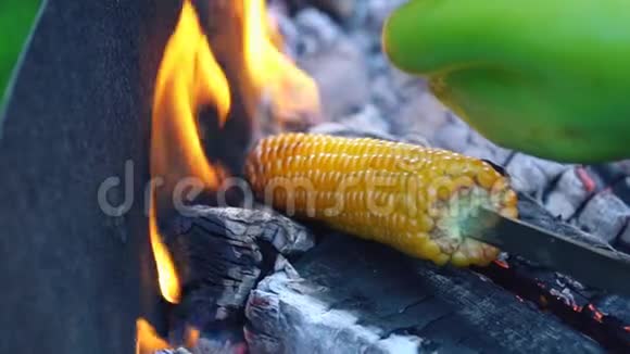 烧玉米视频的预览图