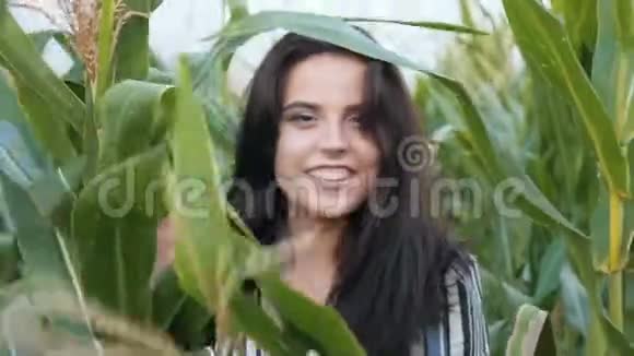 浪漫的美女穿过有机玉米地视频的预览图