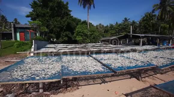 泰国海岸上挂满了小干鱼网的钓鱼篮视频的预览图