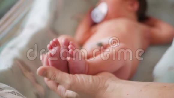 妈妈她的手握着医院里新生婴儿的腿视频的预览图