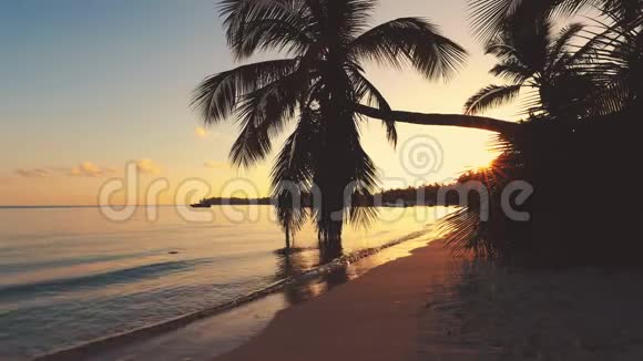 热带岛屿有椰子棕榈树金色日出和美丽的海景视频的预览图
