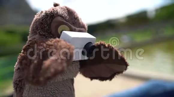 有趣的玩具猫头鹰拿着动作相机视频的预览图