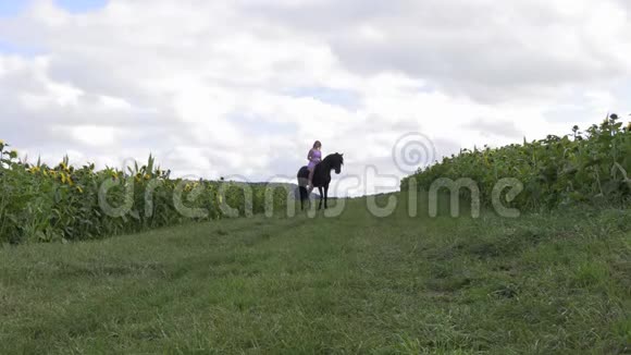一个穿着紫丁香裙子的女人骑着马在田野上视频的预览图