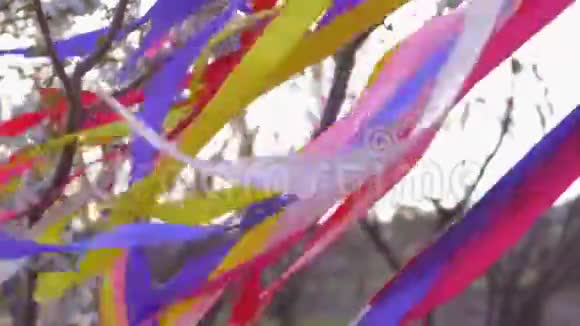 许多色彩鲜艳的彩带在盛开的花园里迎风飘扬视频的预览图