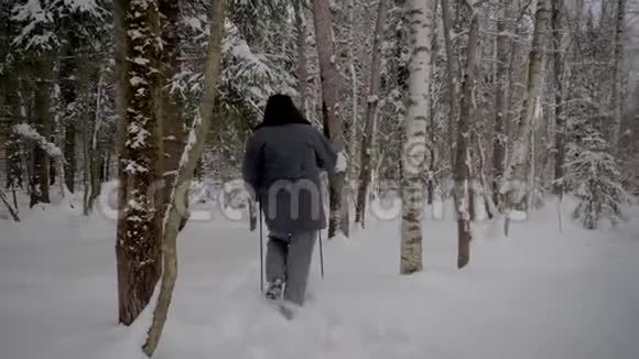 冬天在雪地森林里用登山杖徒步穿越雪地的人视频的预览图