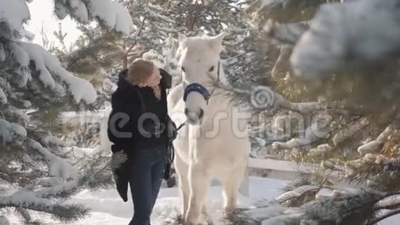 在白雪皑皑的乡村牧场上她微笑着可爱的金发女郎用她的双手喂养一匹美丽的白马马的概念视频的预览图