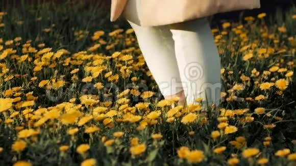 那女孩带着黄色的蒲公英走在地上腿和蒲公英特写视频的预览图