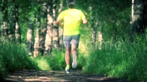 模糊的运动员在森林里奔跑视频的预览图