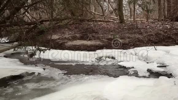 树林里结冰的河流视频的预览图