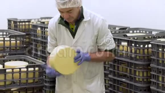 英俊的奶酪师正在检查奶酪调味在乳制品工厂在4kUHD视频视频的预览图