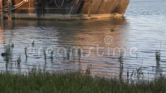 晚上有集装箱船背景的河流流向岸边视频的预览图
