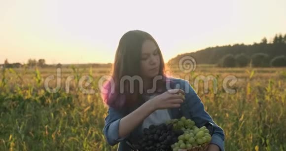 年轻漂亮的女孩拿着一篮有机鲜葡萄吃着葡萄视频的预览图